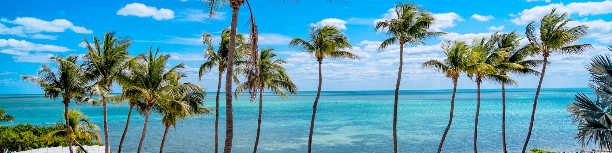 The image shows a picturesque beach scene with tall palm trees, white sand, lounge chairs, and a clear blue sky with some clouds ending the sentence.