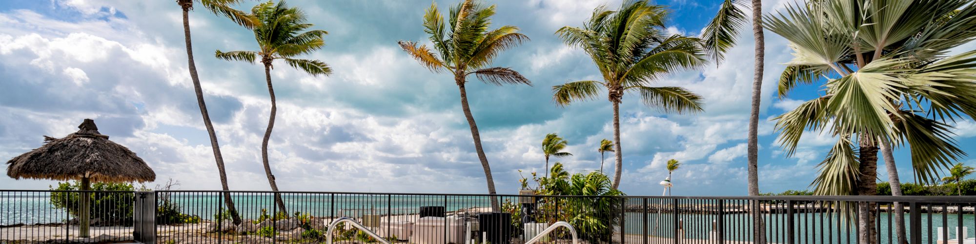 A beachfront setting with steps leading to a hot tub, surrounded by palm trees and a fence, under a partly cloudy sky.