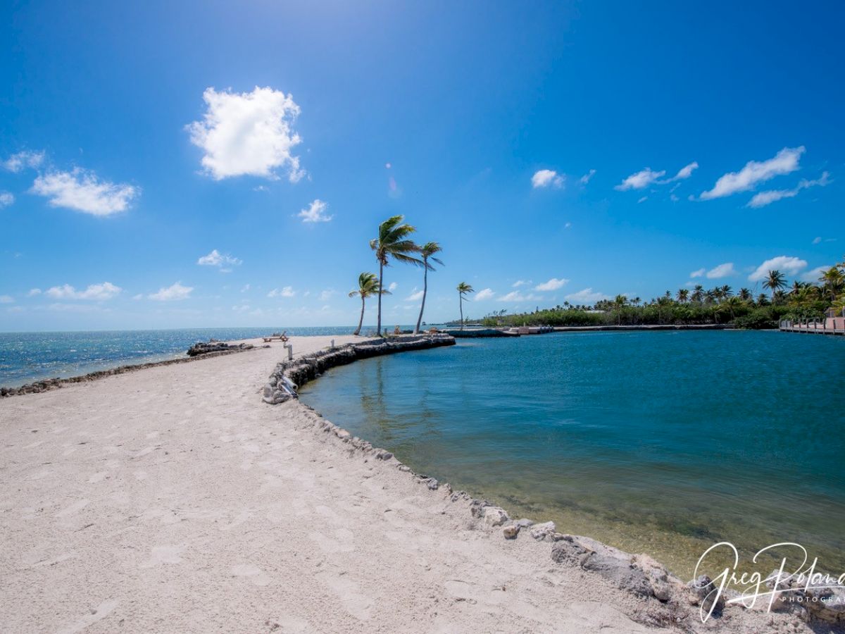 A sandy pathway curves along the edge of a tranquil ocean with clear blue skies, a few clouds, and leaning palm trees in the distance.