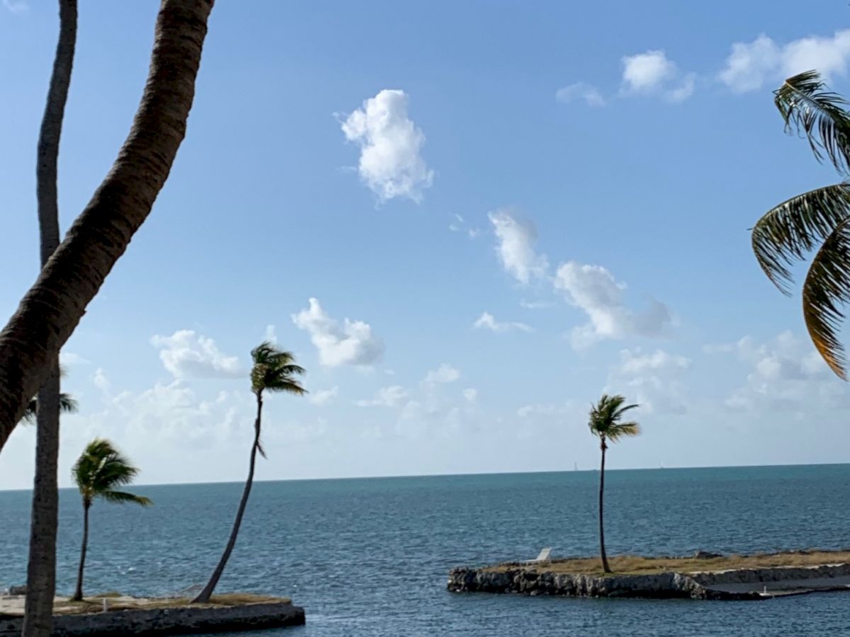 A coastal scene with a clear blue sky, palm trees, and calm waters extending to the horizon; small landmasses dotted with more palm trees in the distance.