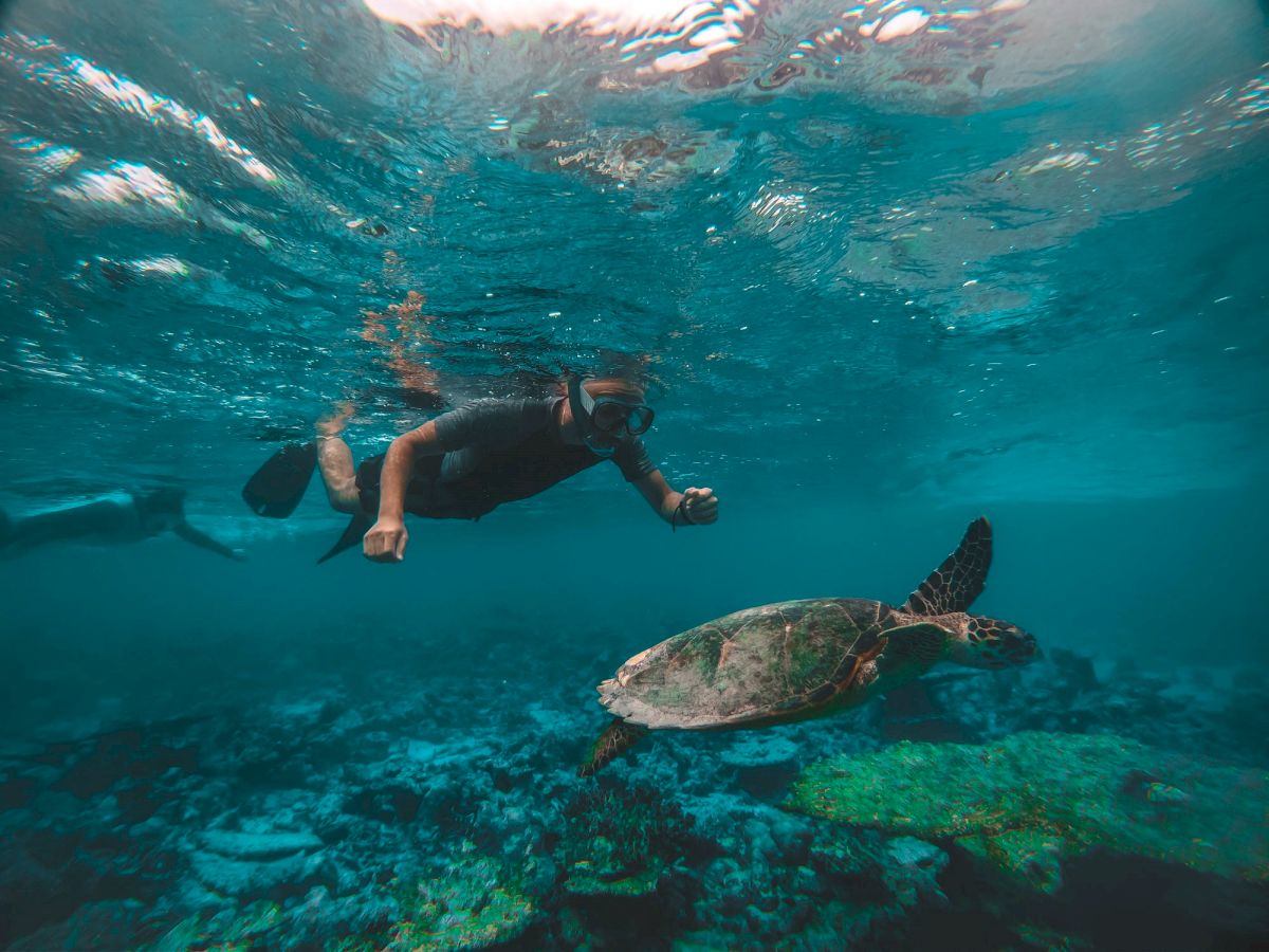 A person snorkeling in the ocean swims alongside a sea turtle, with coral and marine life visible beneath them in the clear blue water.