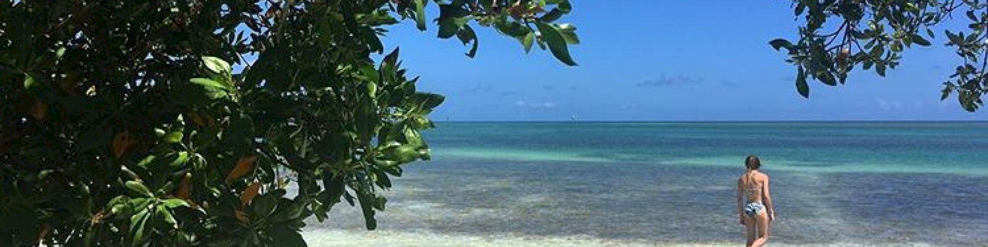 A person is walking in shallow, clear water near a beach, framed by tree branches, with a distant horizon and clear blue sky.