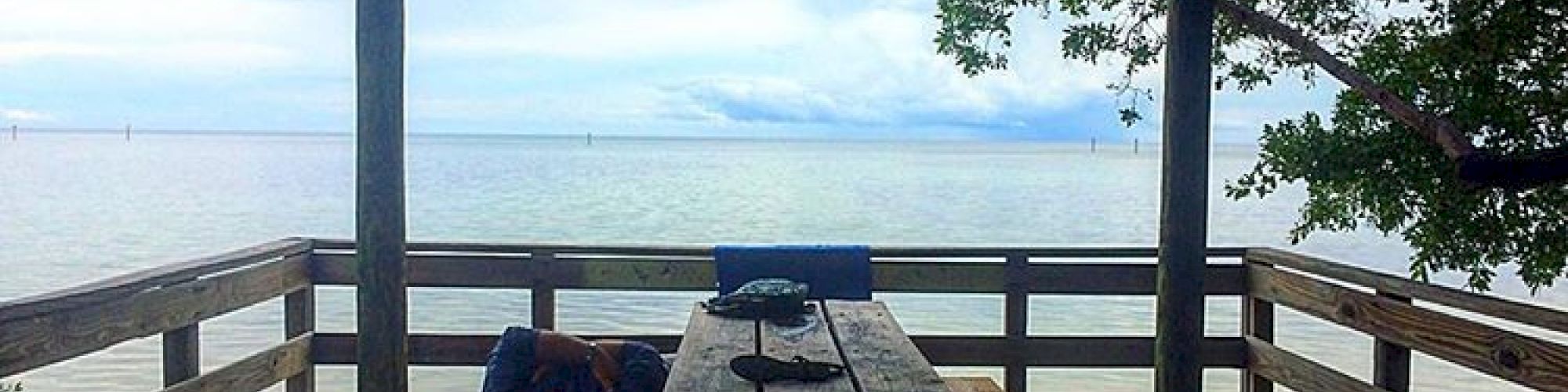 A wooden gazebo with an empty picnic table overlooks a serene water view. A person reclines on the bench, gazing at the peaceful scenery.