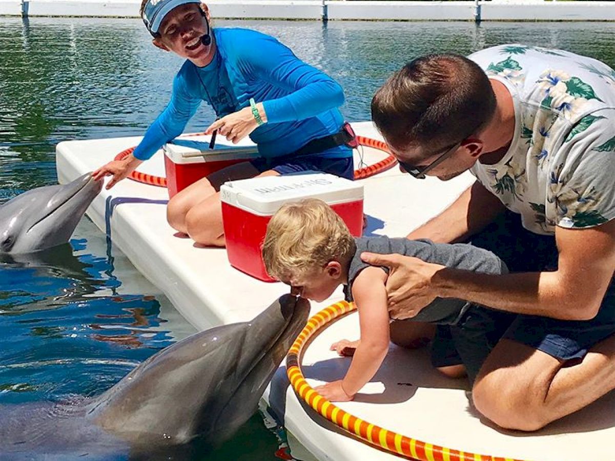 A child is being gently kissed by a dolphin while two adults are present, seated on a dock over water. Another dolphin is nearby.