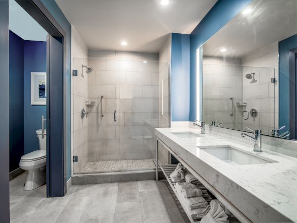 This image shows a modern bathroom with a walk-in shower, toilet, wide mirror, double sink, and storage shelves beneath the countertop.
