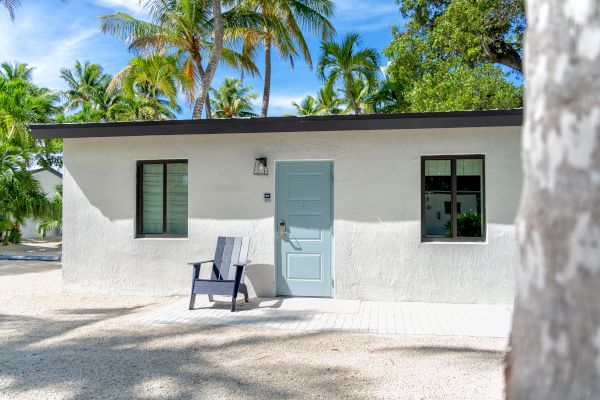 A small white house with a light blue door and two windows, surrounded by palm trees, with a chair placed outside.