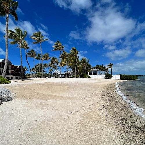 A pristine beach with clear blue skies, palm trees, and beachfront buildings along the coastline. The sandy shore meets the gently lapping waves.