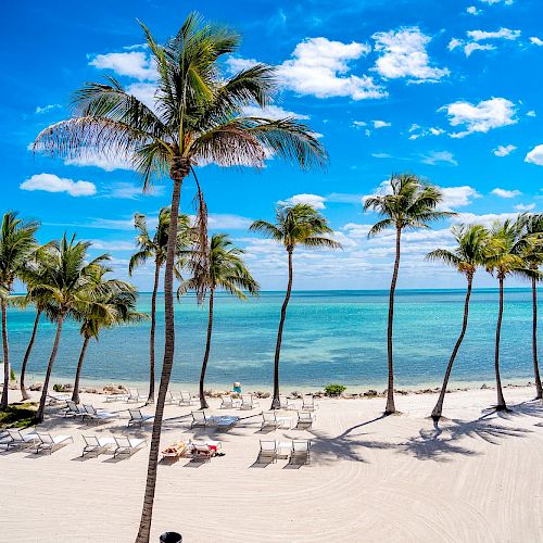 A picturesque beach scene featuring white sandy shores, tall palm trees, and lounge chairs overlooking a turquoise ocean under a bright blue sky and scattered clouds.