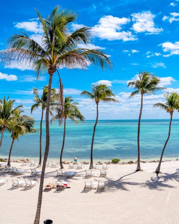 Palm trees, white sandy beach, lounge chairs, and a turquoise ocean under a blue sky with a few clouds create a tropical paradise scene.