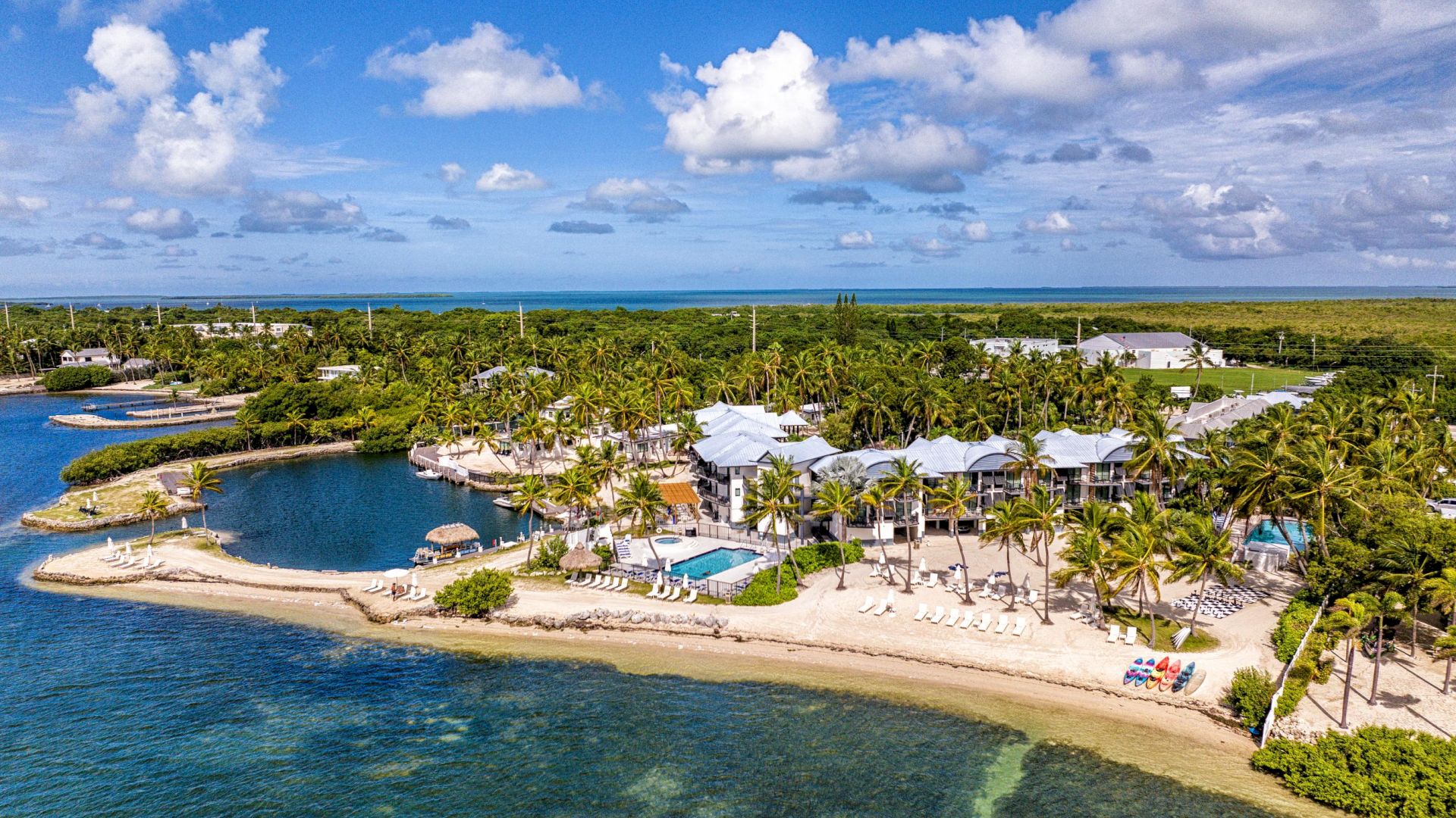 A tropical beach resort with palm trees, a pool, and lounge chairs by the ocean under a blue sky with clouds.