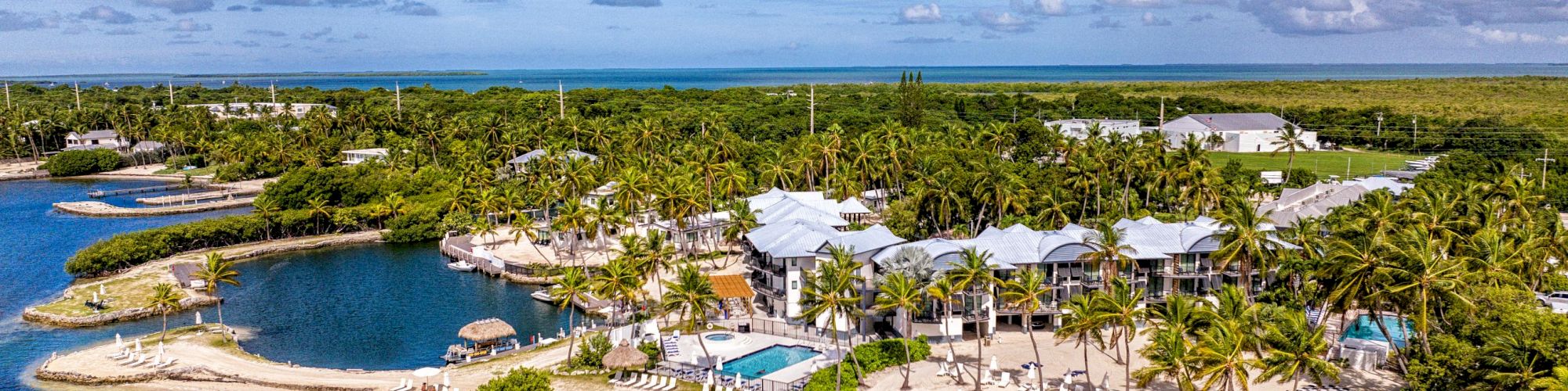 A tropical beach resort with palm trees, a pool, and lounge chairs by the ocean under a blue sky with clouds.