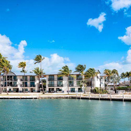 A coastal resort with palm trees, modern buildings, and a calm blue sea under a bright, partly cloudy sky.