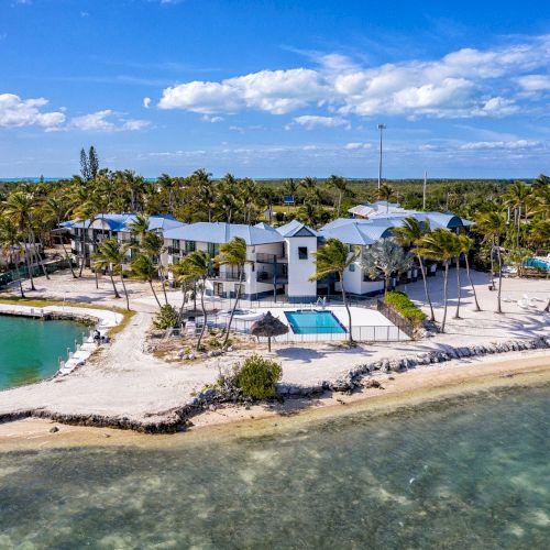 A beachfront property with a pool, surrounded by palm trees, overlooking clear waters and a blue sky.