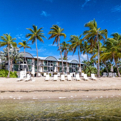 A beachfront scene with several lounge chairs facing the ocean, lined with palm trees, in front of a modern building under a clear blue sky.