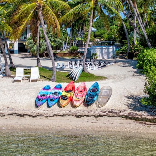 The image shows colorful kayaks lined up on a sandy beach, with palm trees and lounge chairs in the background.