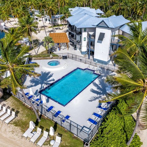 Aerial view of a coastal resort with a swimming pool, lounge chairs, and palm trees beside a building.