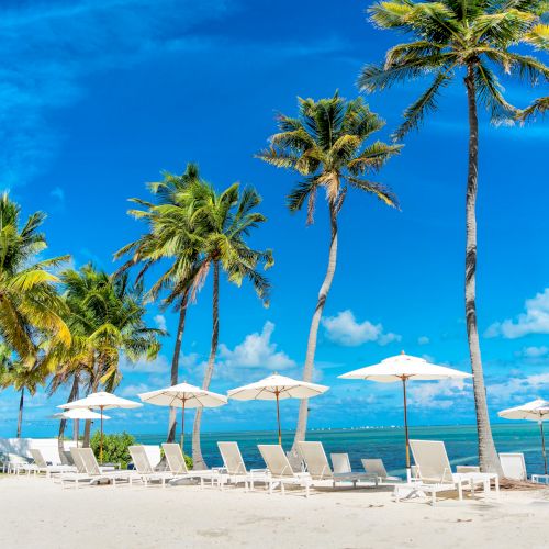 A tropical beach scene with palm trees, lounge chairs, and umbrellas under a clear blue sky by the ocean.