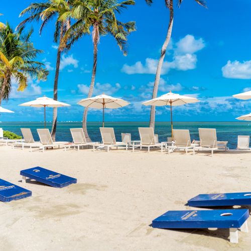 A beach scene with lounge chairs and umbrellas under palm trees, with a bean bag toss game set on the sand, by the ocean.