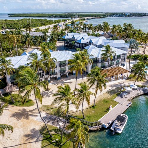 Aerial view of a tropical resort with palm trees, near the shoreline. Buildings have metal roofs, and a boat is docked nearby by the water.