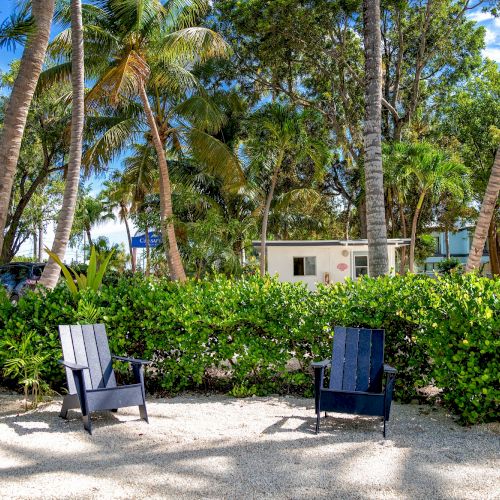 Two chairs on a sandy area are surrounded by lush green plants and tall palm trees, creating a tropical scene under a blue sky.