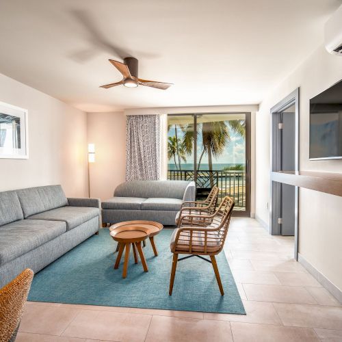 A modern living room with two gray sofas, a TV, a ceiling fan, and a view of palm trees through a sliding glass door.