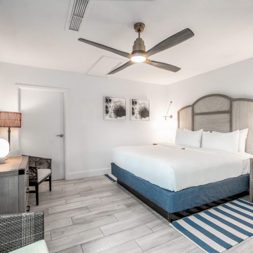 A modern bedroom with a king-size bed, ceiling fan, TV, lamps, and a striped rug on a wooden floor.