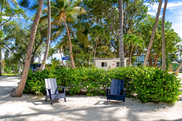 The image shows two black Adirondack chairs on a sandy area surrounded by green bushes, palm trees, and a small building in the background.