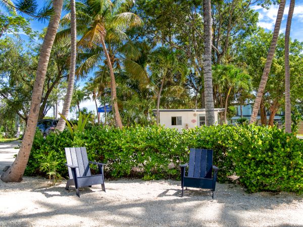 The image shows two black Adirondack chairs on a sandy area surrounded by green bushes, palm trees, and a small building in the background.