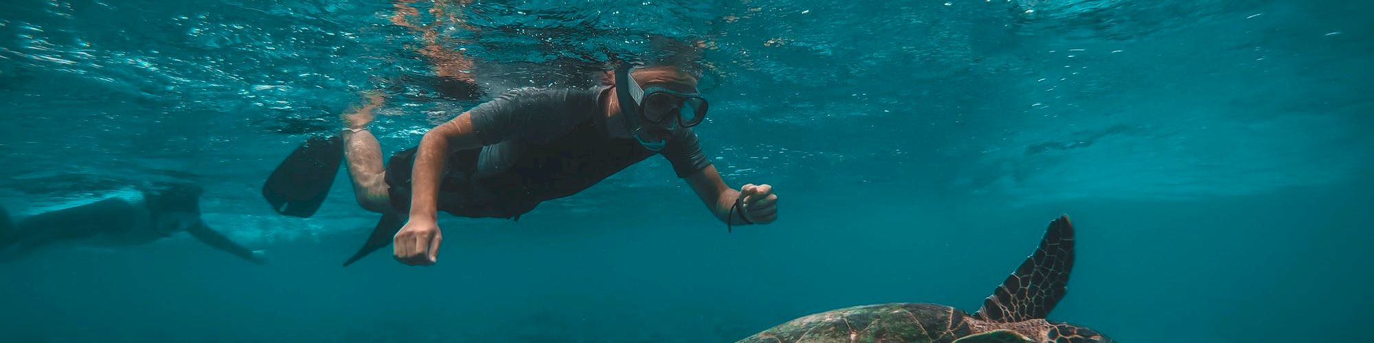 A snorkeler interacts with a sea turtle in clear blue water above a coral reef, capturing a peaceful underwater moment.