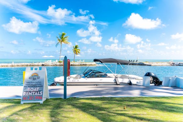 A boat dock with a "Boat Rentals" sign and palm trees, by a turquoise sea under a blue sky with fluffy clouds.