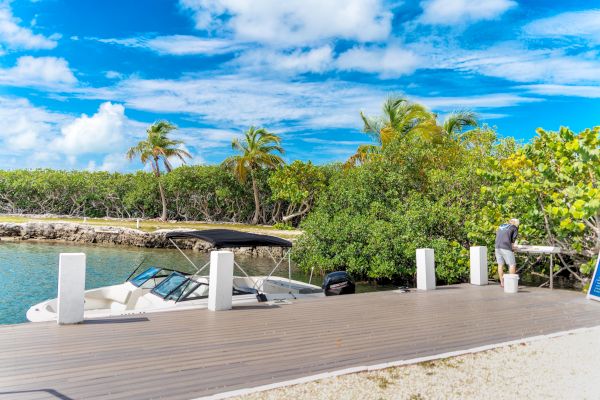 A boat docked at a wooden pier with a person nearby, surrounded by lush greenery and palm trees, under a bright blue sky with clouds.