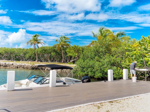 A boat docked at a wooden pier with a person nearby, surrounded by lush greenery and palm trees, under a bright blue sky with clouds.