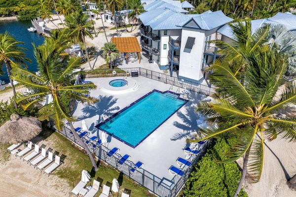 Aerial view of a tropical resort with a swimming pool, palm trees, lounge chairs, and nearby beach access.