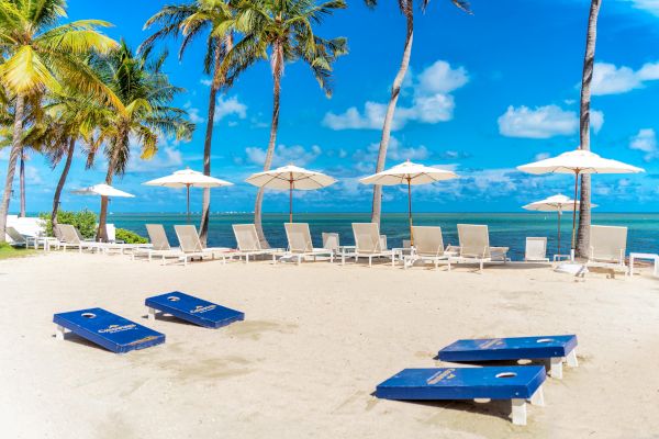 Sandy beach with lounge chairs, umbrellas, and palm trees under a clear blue sky, featuring bean bag toss boards on the sand.