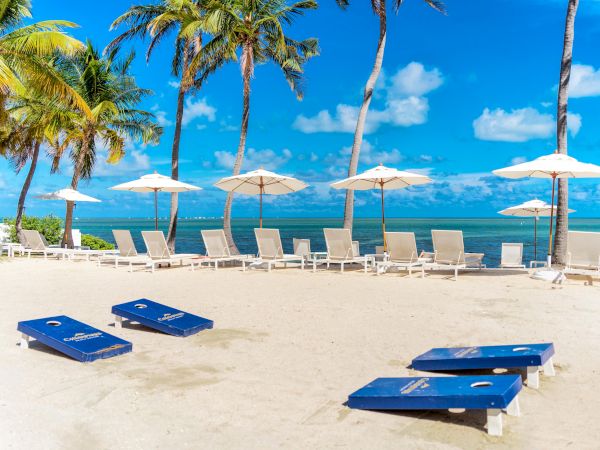 Sandy beach with lounge chairs, umbrellas, and palm trees under a clear blue sky, featuring bean bag toss boards on the sand.