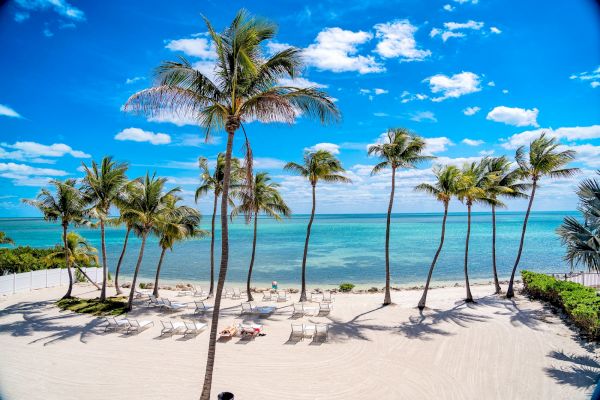 A pristine beach scene with palm trees, white sand, lounge chairs, and a clear blue sky overlooking a calm sea enhances tranquility.