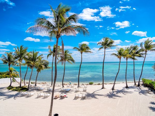 A pristine beach scene with palm trees, white sand, lounge chairs, and a clear blue sky overlooking a calm sea enhances tranquility.