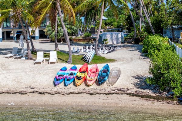 Colorful kayaks lined up on a sandy beach with palm trees and lounge chairs in the background.