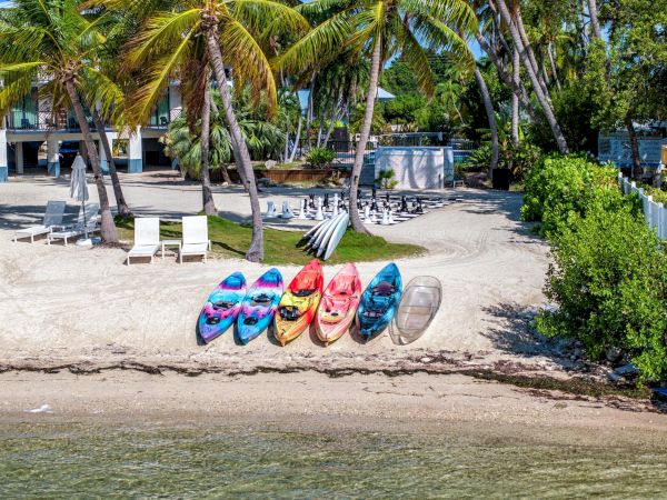 Colorful kayaks lined up on a sandy beach with palm trees and lounge chairs in the background.
