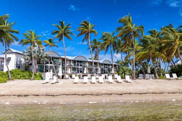 A beachfront scene with palm trees, lounge chairs, and a building under a clear blue sky, viewed from the water’s edge.