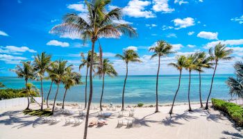 The image shows a beautiful beach scene with tall palm trees, white sandy shores, lounge chairs, and a calm blue ocean under a clear blue sky with scattered clouds.